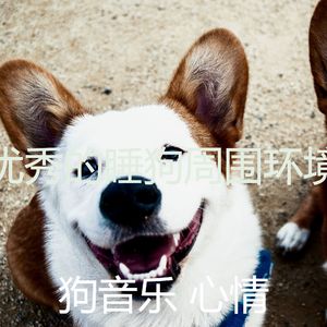 有趣狗情怀
