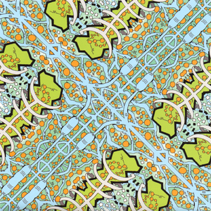 entropic field/total disorder/cellular chaos