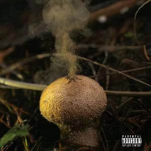 无业游民（Cheese）