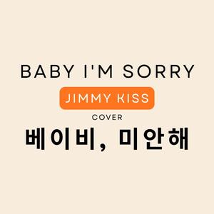Baby I'm Sorry (Korean)