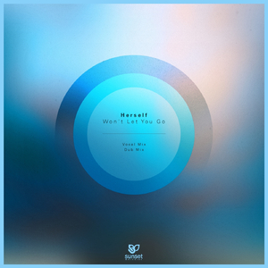 Won't Let You Go (Original Vocal Mix)