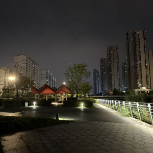 身体替我记得想念