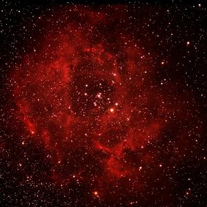 玫瑰星云