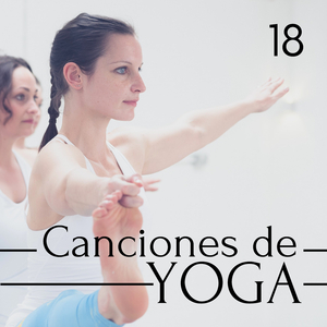 Limpieza Anti Ansiedad