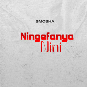 Ningefanya Nini
