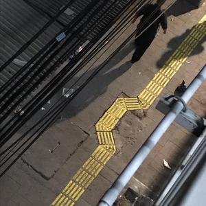 all of this distance