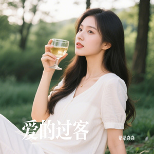 爱的过客