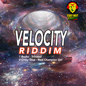 Velocity Riddim (Instrumental)