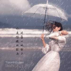 昨夜傍晚的秋雨 吹落一地朝夕