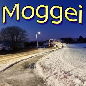 koffor VIL INGEN HØRRA PÅ SANGENE MINE