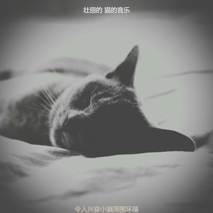 抚慰的可爱的猫回忆