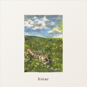 Binar