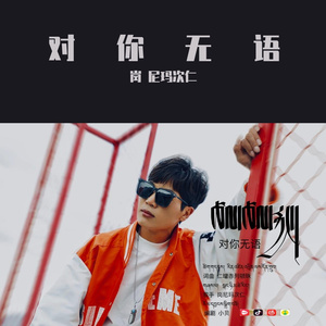 对你无语