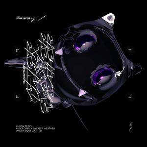 AFTER DARK X SWEATER WEATHER - PHONK