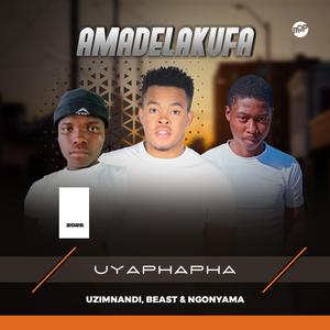 UYAPHAPHA (feat. BEAST LANGA)