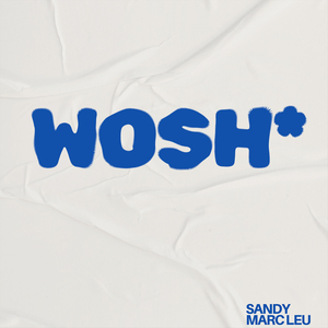 Wosh