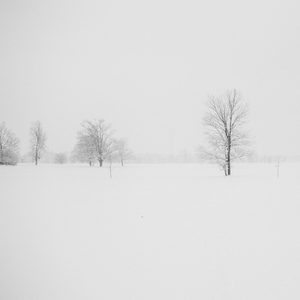 I'm Dreaming of a White Christmas