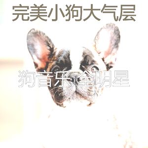 安静的训练犬声音