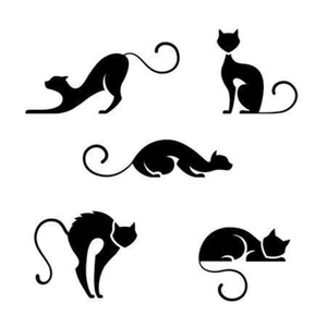 La Danse Mystérieuse des Chats
