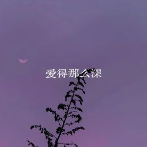 爱得那么深