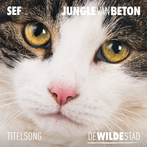 Jungle Van Beton (Titelsong "De Wilde Stad")