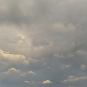 说谎-王泽科_20220612_221530