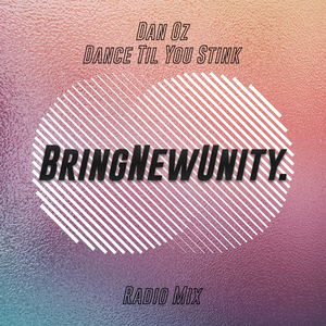 Dance Til You Stink (Radio Mix)