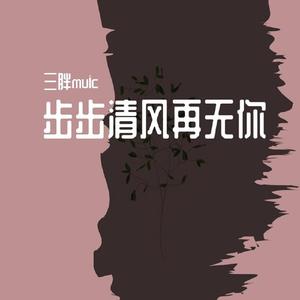 步步清风再无你