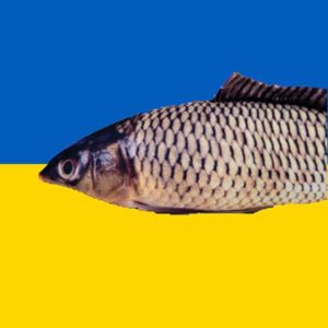 Карпский рэп (Ukraine version)