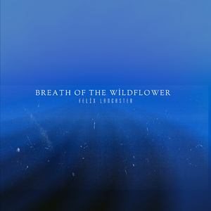 Breath of the Wildflower