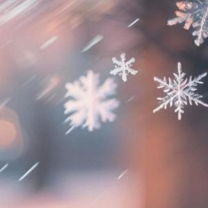 Winter Love