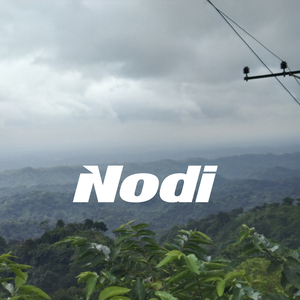 Nodi