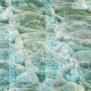 Poculiform
