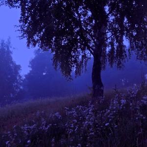 POSER (feat. burnnt & Skyte)