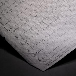 Latidos Rapidos (feat. Peregrino JL, Marche+ & Angel Del Rap)