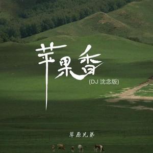 苹果香 (DJ沈念版)