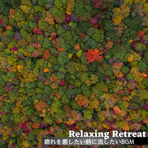 Canopy of Dreamy Stars