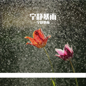 我们还走在路上