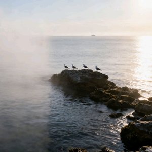 雾海与晴礁
