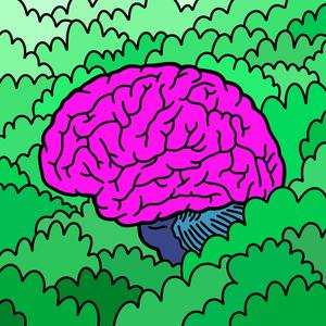 Přepřemýšlení nad křákem