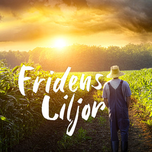 Fridens Liljor