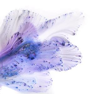 Unfurl (Ulla Johnson)