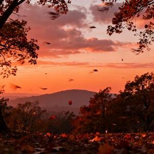 不配拥有你的温柔