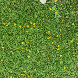 不忘初心（合唱）