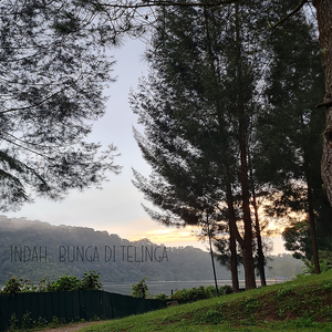 Indah, Bunga Di Telinga