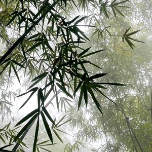 等你懂我的时候