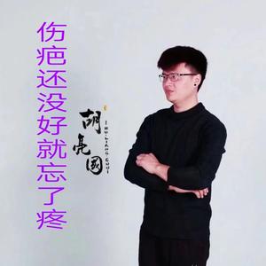 蔷薇团长-伤疤还没好就忘了疼（胡亮国 remix）