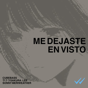 Me Dejaste en Visto