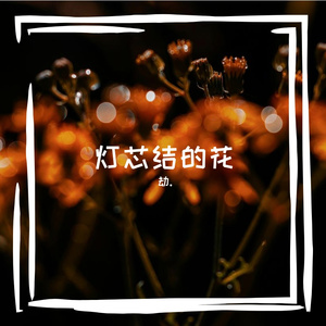 别打我