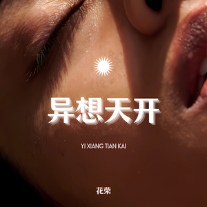 异想天开 (DJ版)